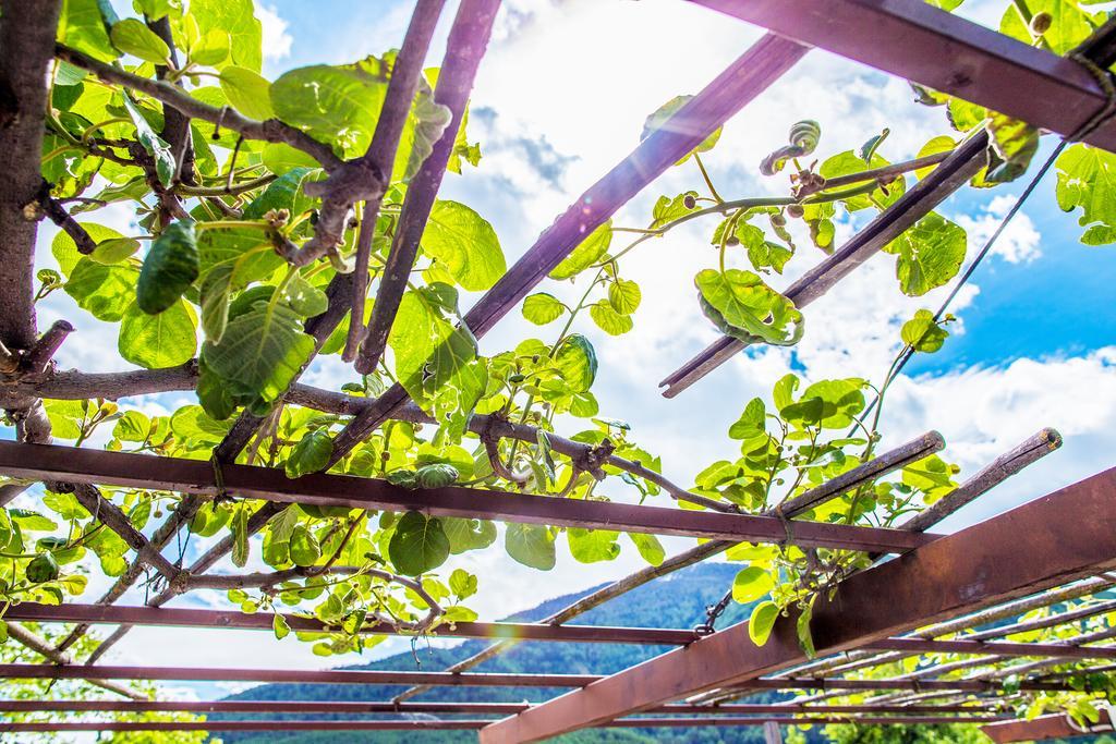 Garni Glurnserhof Ngoại thất bức ảnh